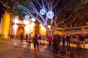  Telde brilla por Navidad (Reportaje gráfico de Antonio Rico y Antonio Alí)